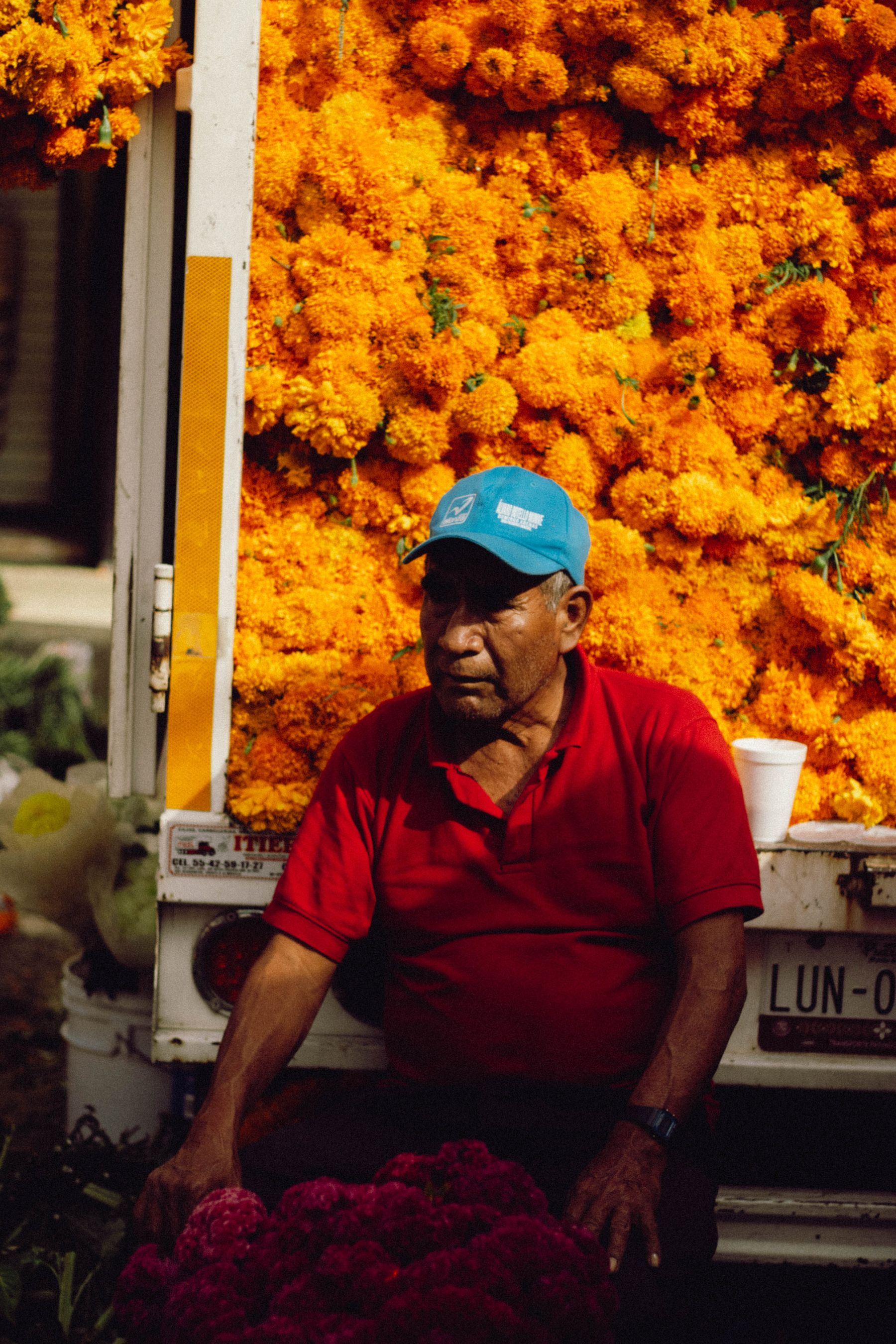 Vida que late en los mercados de México