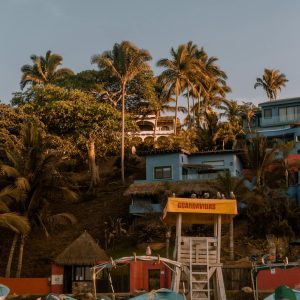 Sayulita y San Pancho: Pueblo, Surf y Selva