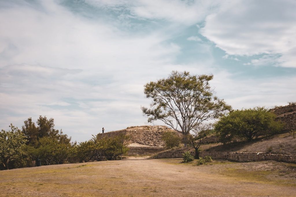 Monte Albán y Mitla con arqueólogo especialista